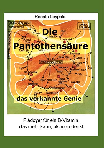 Die Pantothensäure – Das verkannte Genie: Plädoyer für ein B-Vitamin das mehr kann, als man denkt von Leypold Renate